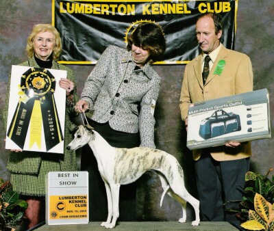 
Essence was the # 2 Whippet for 2005 (Top Ranked for 3 years) and American Whippet Club Top Twenty Winner and dam of a Multiple Best in Show winner