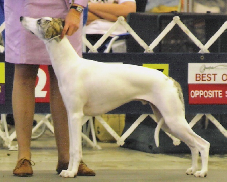 Jackpot has 13 points and one major toward his championship