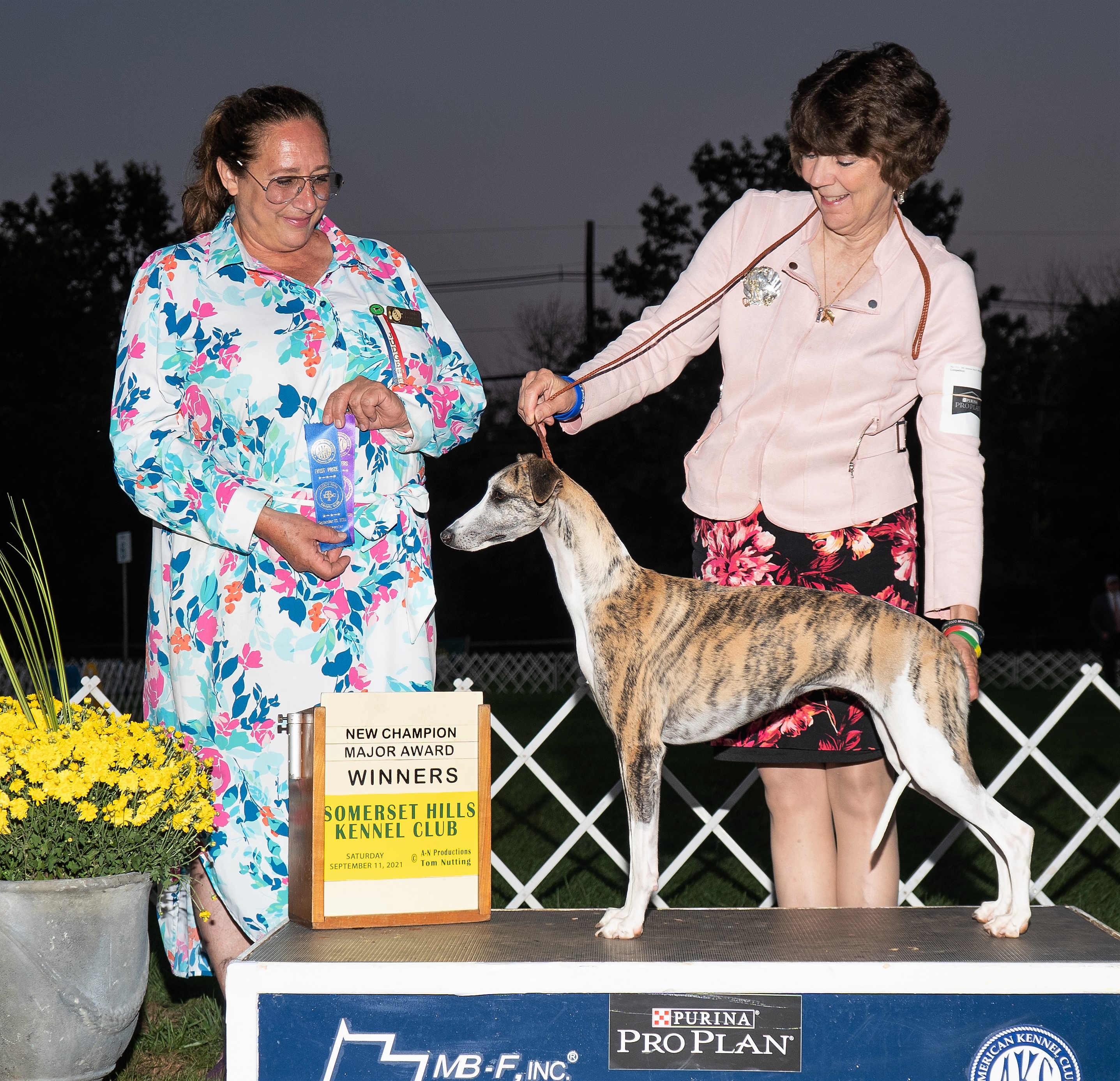     Heartfelt is a Multiple Group Placer winner 